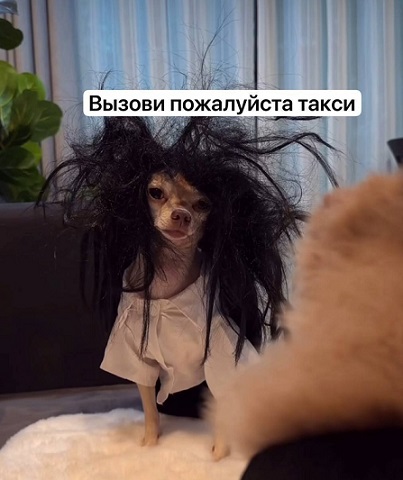 Расскажи мне про море