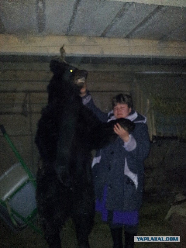 Консервы