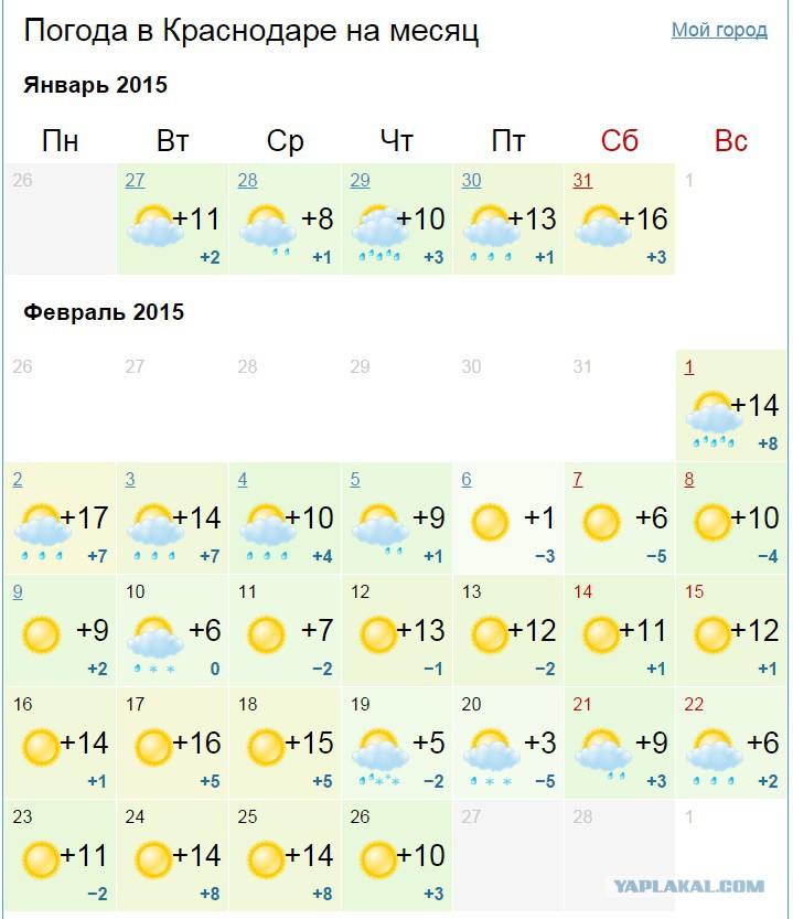 Почасовой прогноз погоды краснодар на 3 дня. Погода в Краснодаре. Погода в Краснодаре сегодня. Погода в Краснодаре в январе. Погода в Краснодаре сейчас.