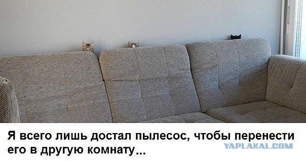 Весёлое из сети