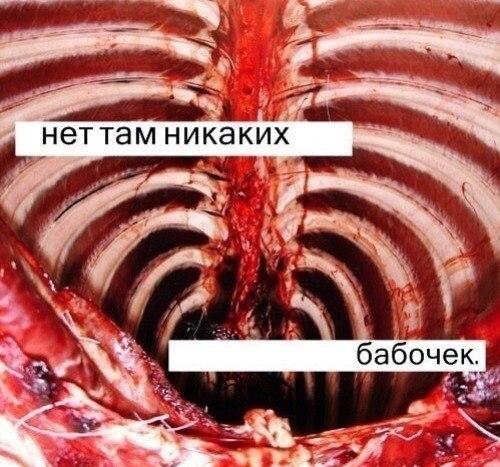 Вторник-повторник