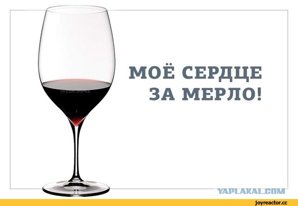 «Сплин» в картинках