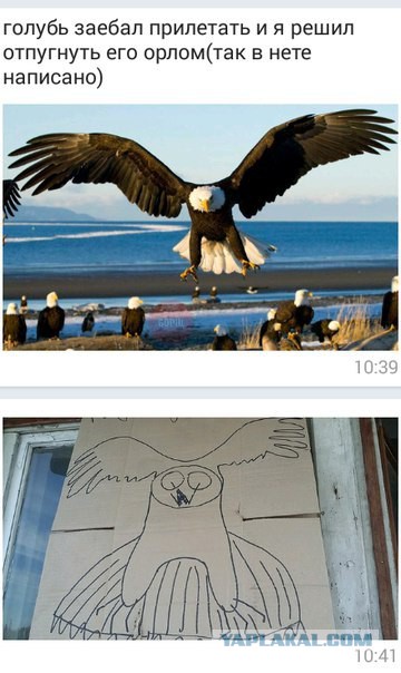 Разные картинки из сети