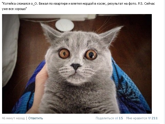Ужасы и приколы из соцсетей