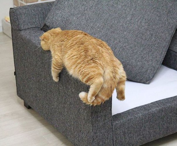 Картинки из этих, ваших...