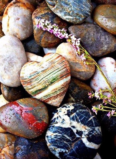 Интересные и веселые картинки