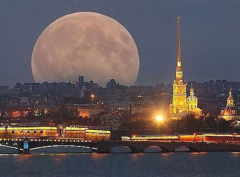 Моменты, запечатлённые на фото и просто позитив 5