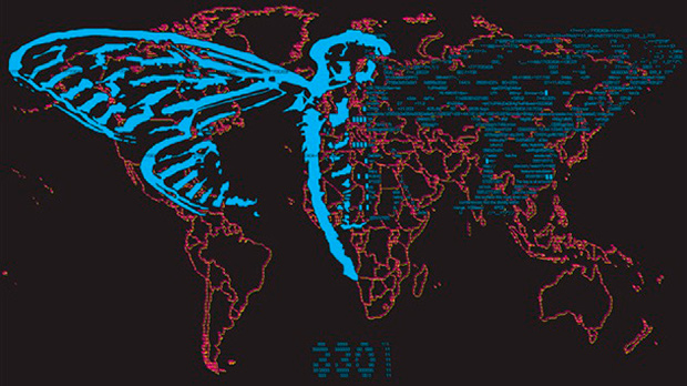 Cicada 3301: секретное сообщество хакеров или просто игра?