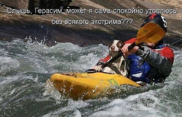 Поехали!