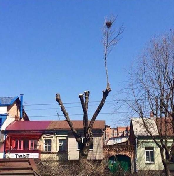 Набористый набор картинок