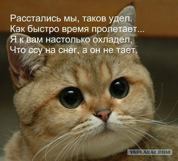 Немного чернухи к понедельнику. Однако, здравствуйте!