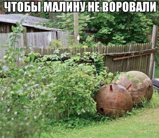 Подборка интересных и веселых картинок