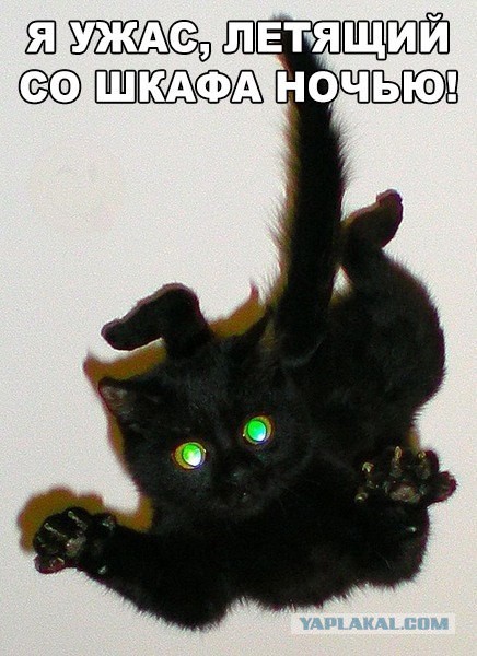 Картинки всякие для поднятия настроения