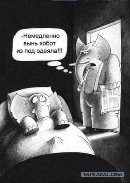 Что происходит с порнозвездами, пытающимися найти другую работу