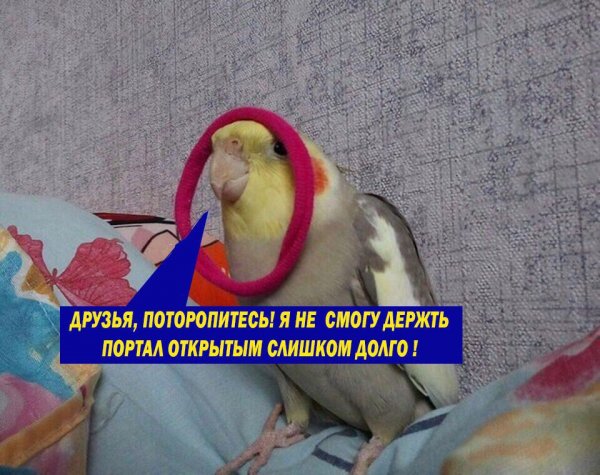 Приколы в стиле "регресс"