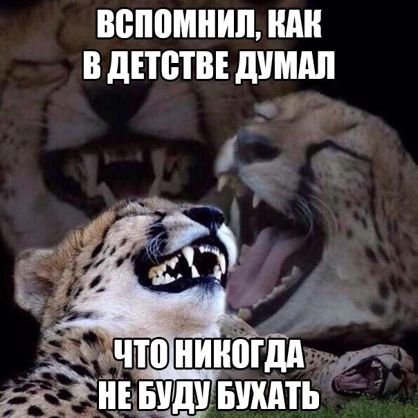 Трезвенники вообще ещё остались?