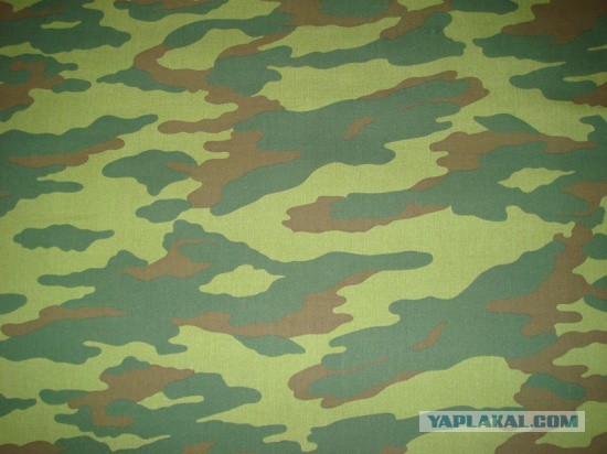 Прятки для взрослых: как появился маскировочный камуфляж