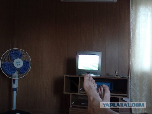 Дичь перед матчами на первом канале