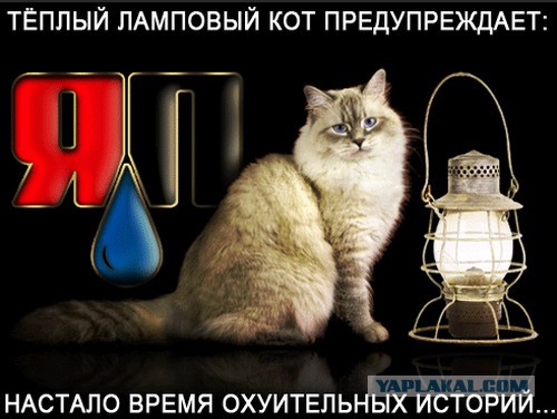 Зашла в "Пятёрочку" - 4 уголовных статьи на директоре и его заме