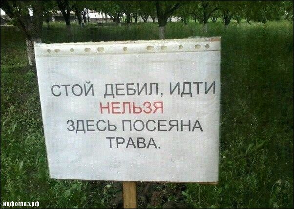 Перлы