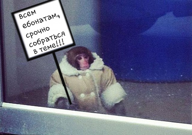 А вы слышите голоса?
