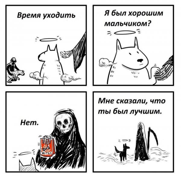 Горя  не знал - завёл собаку