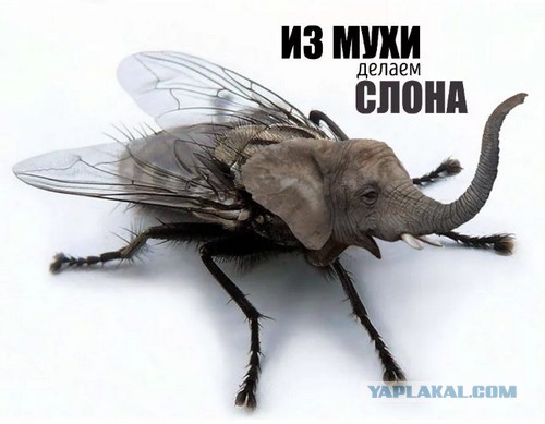 Взбодримся?