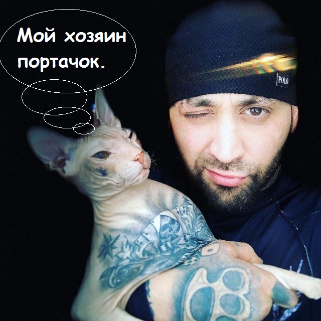 Потерялся кот! Приметы: весь в крестах и куполах
