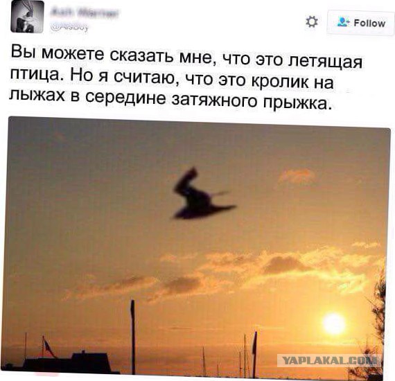 Картинок 30 штук, посмотрим?