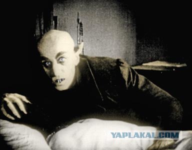 Интересные факты о вампирах