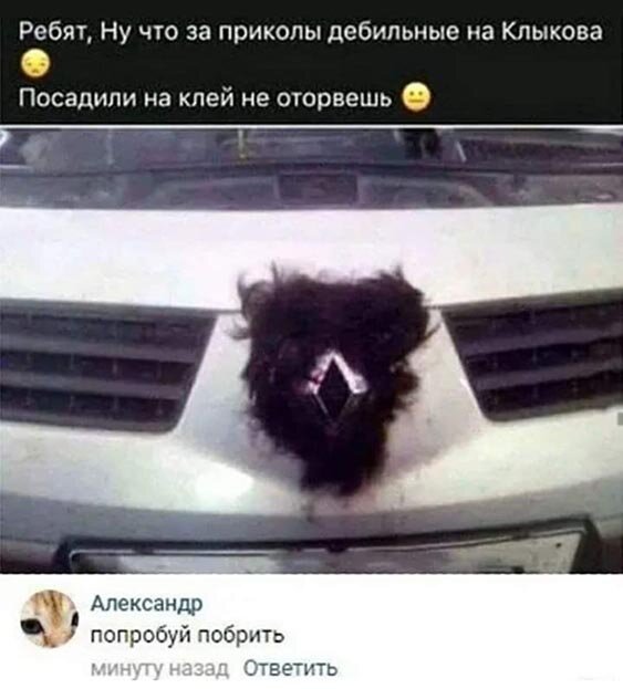 Прикольные картинки и фото с надписями и коментами 12.12.19
