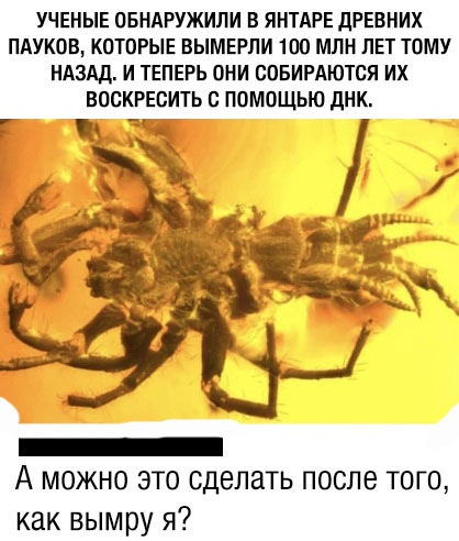 Немного картинок с надписями и без - 36