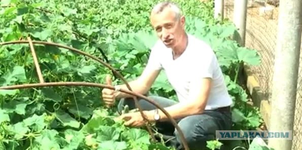 Социальный плакат