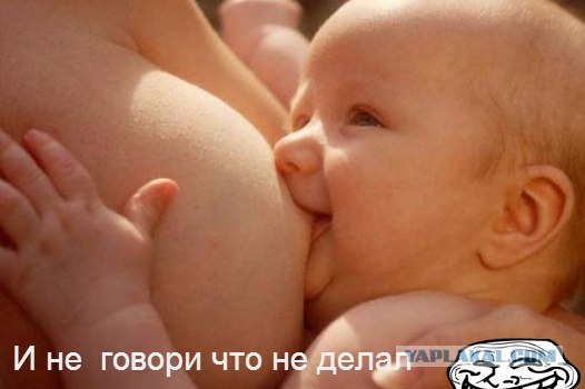 Сися