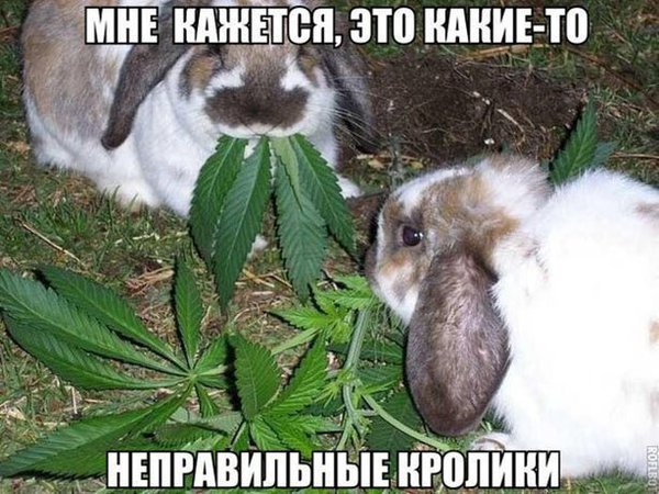 Немного картинок для настроения 19.02.20
