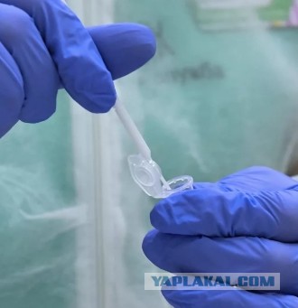 Рабочие Чаяндинского месторождения, которых не отпускают домой из-за карантина, нашли невскрытые собственные тесты на COVID
