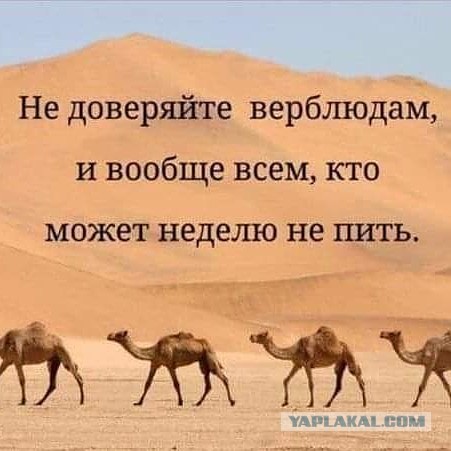 Просто картинки!