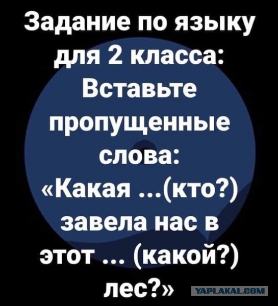 Картинки и мемы для настроения 014