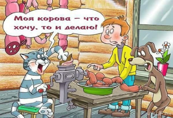 С котопятницей! Улыбнемся?