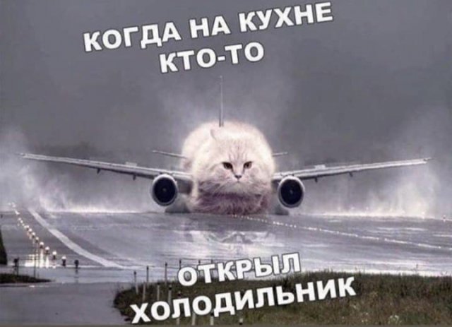 Картинки в субботу 16.01.21