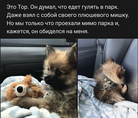Картинки и мемы для настроения 017