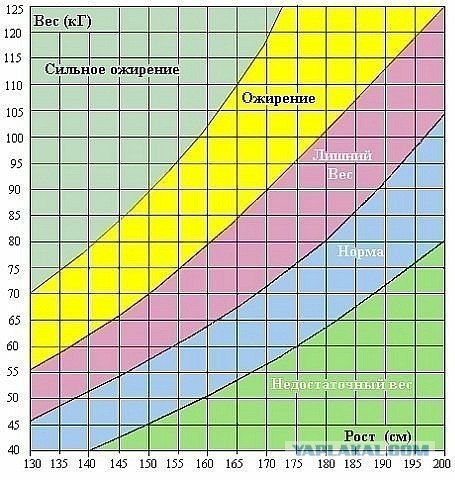 Пацанчик обиделся на бабушку-пешехода