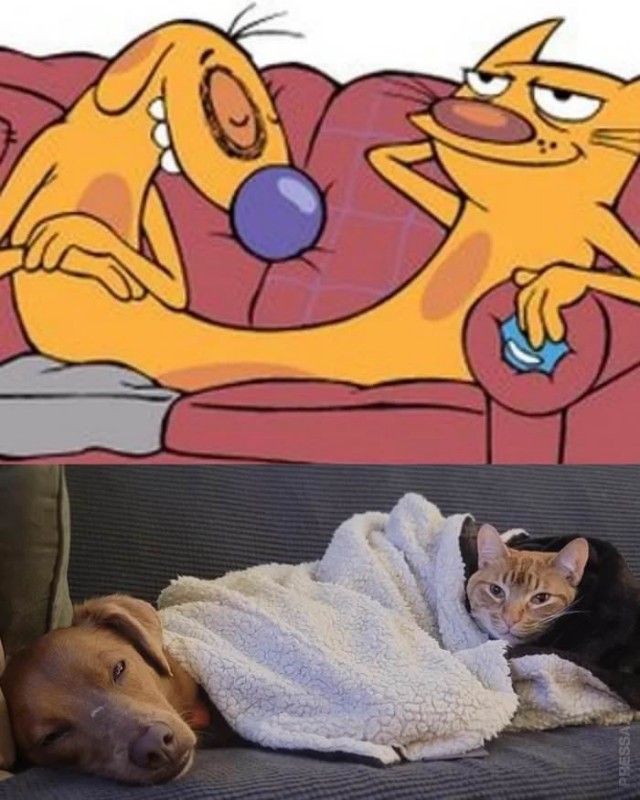 Картинки и мемы для настроения