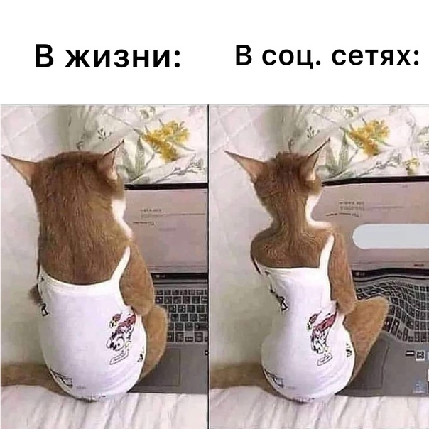 Картинки на вчера