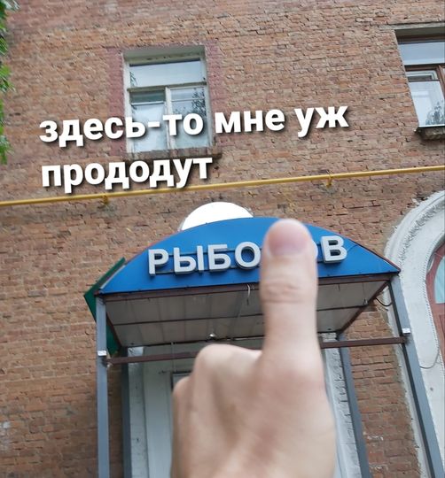 Разбираем новый мем "про рыбов"