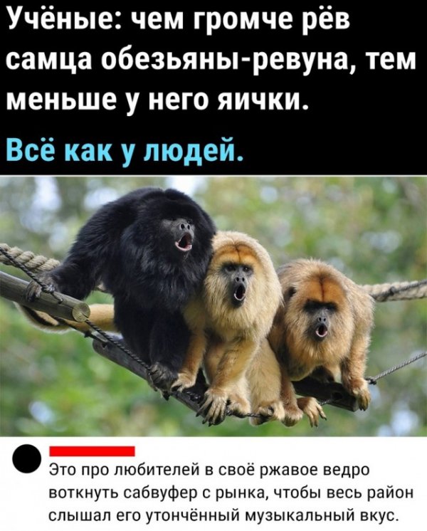 Картинки и мемы для настроения 17.08.2021