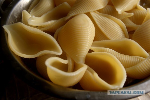 Макаронные ракушки