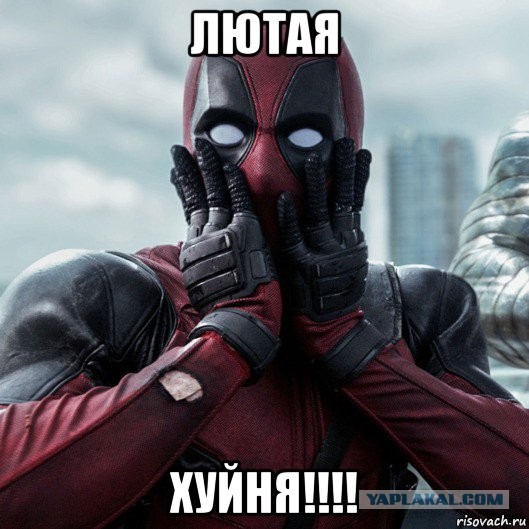 Весёлый полтишок 02.11