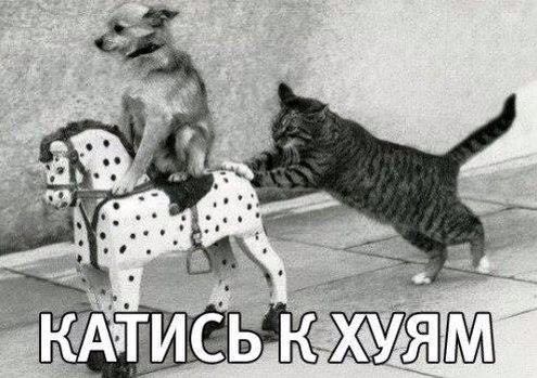 Какими ножами вы пользуетесь повседневно?