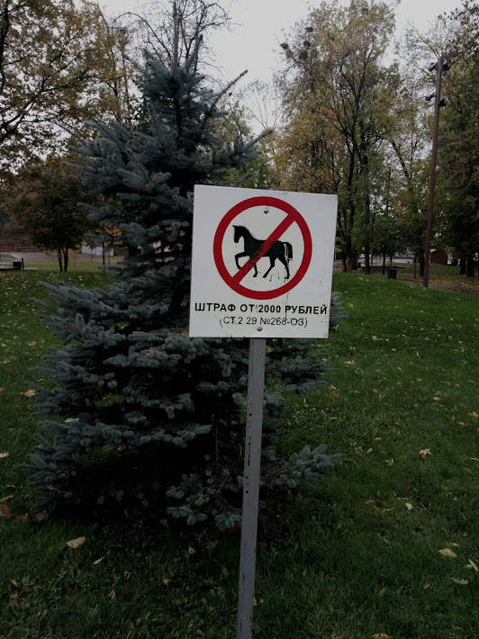 Псков сегодня
